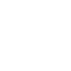 Bridge Capital X Profile
